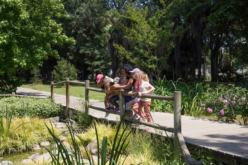 jardin des plantes