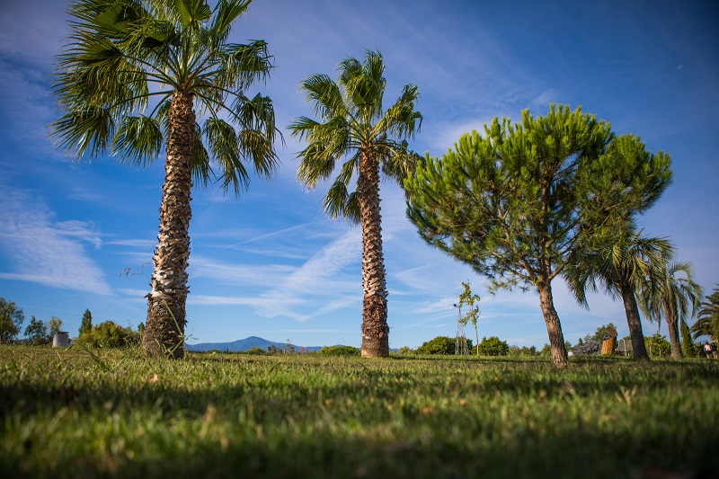 parc de la prade