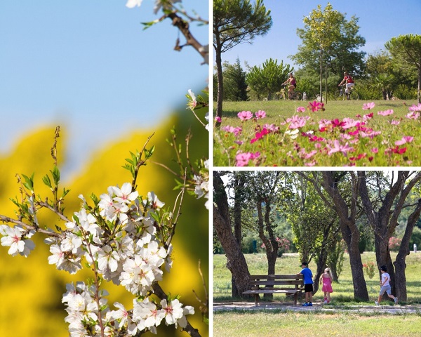 parc de la prade saint-cyprien