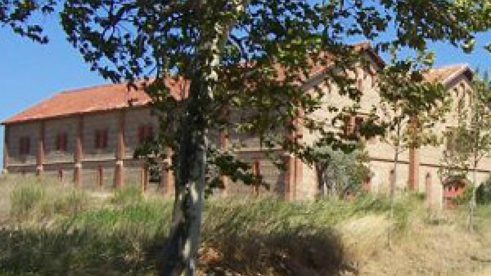 DOMAINE DU MAS AVALLRICH