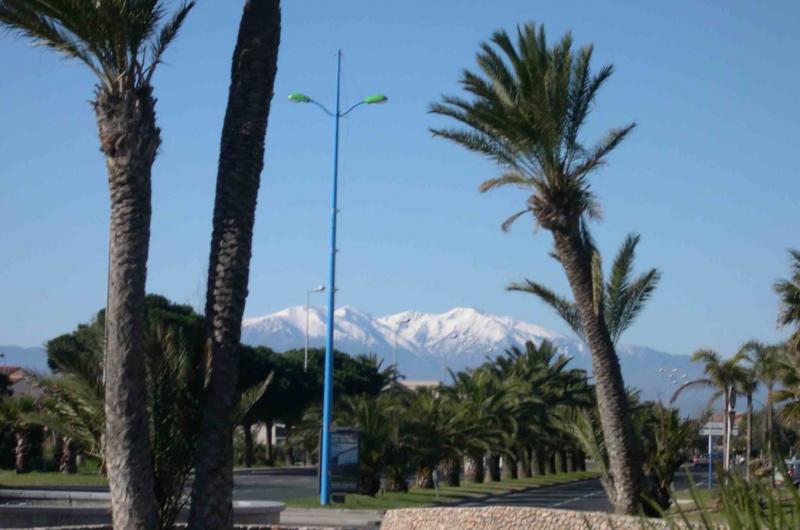 Saumande vue Canigou