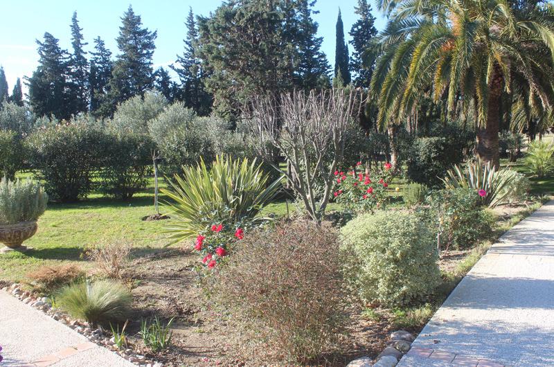 Terrasa parc1 Terrasa parc1