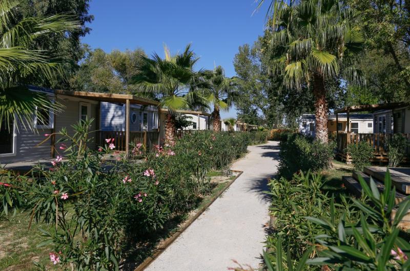 Camping Le Bosc Camping Le Bosc
