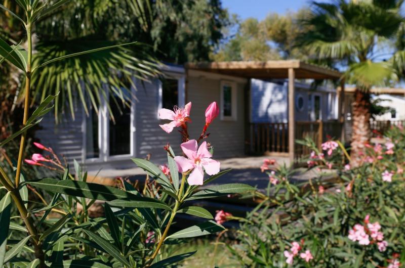 Camping Le Bosc Camping Le Bosc