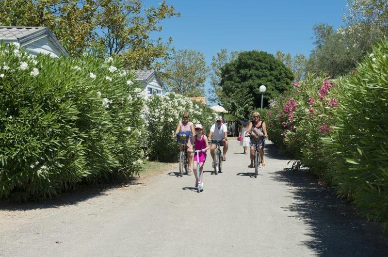 Camping Chadotel le Roussillon Camping Chadotel le Roussillon